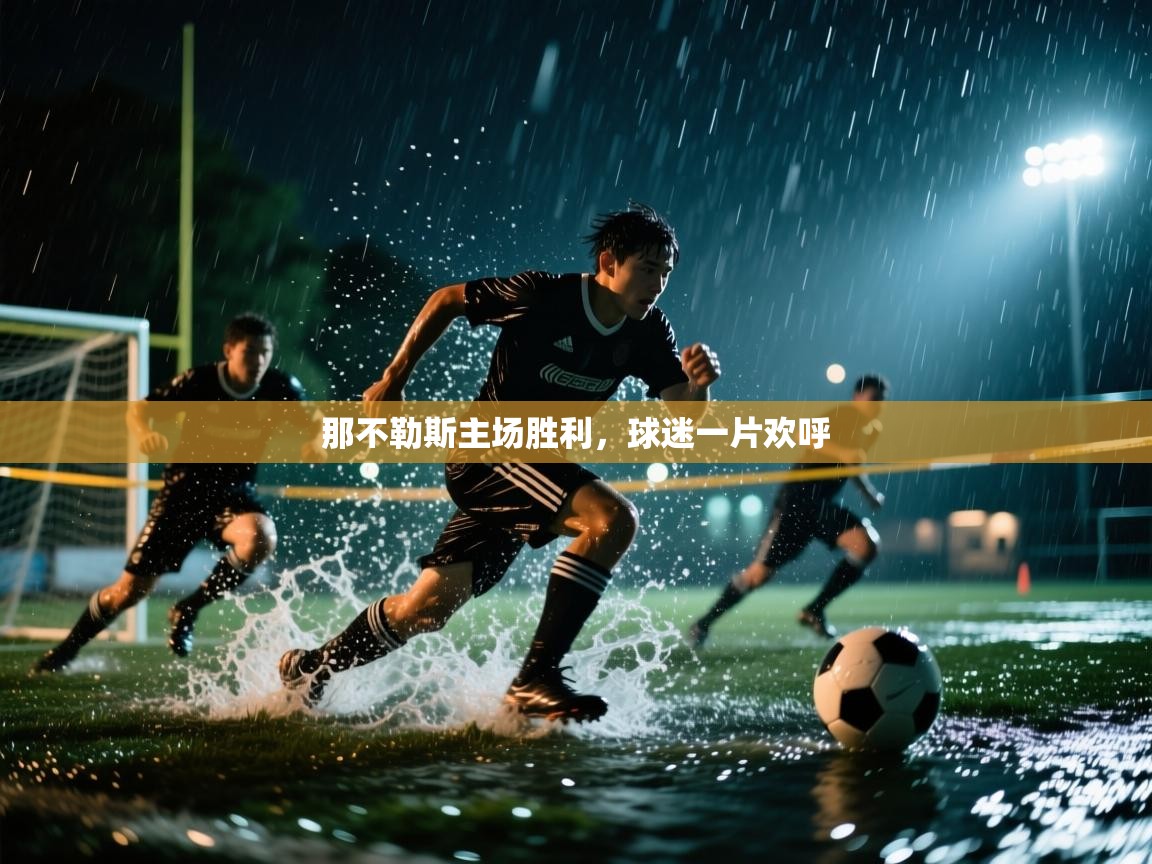 那不勒斯主场胜利，球迷一片欢呼  第2张